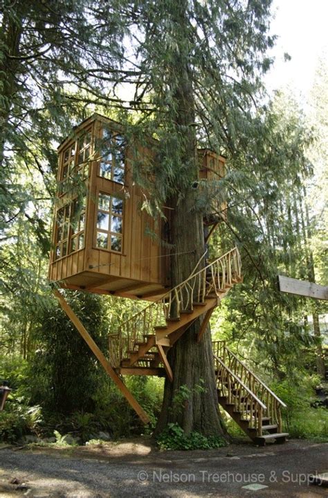 Enter the Portal: Tuesday Adventures in the Magical Treehouse Vortex